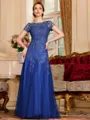 Classy A-Line Tulle Lace Scoop Short Sleeves Floor-Length Mother of the Bride Dress