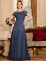 Classy A-Line Tulle Lace Scoop Short Sleeves Floor-Length Mother of the Bride Dress