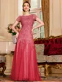 Classy A-Line Tulle Lace Scoop Short Sleeves Floor-Length Mother of the Bride Dress