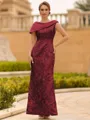 Immaculate Sheath Scoop Pleated Floor-Length Lace Mother of the Bride Dress