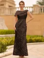 Immaculate Sheath Scoop Pleated Floor-Length Lace Mother of the Bride Dress