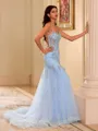 Chic Sheath Spaghetti Straps Appliques Lace Court Train Tulle Corset Dress