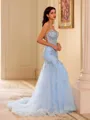 Chic Sheath Spaghetti Straps Appliques Lace Court Train Tulle Corset Dress