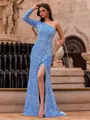 Aristocratic Sheath One-Shoulder Long Sleeves Sweep Train Velvet Sequins Prom Dress