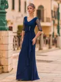 Splendid A-Line Chiffon Pleated V-Neck 1/2 Sleeves Floor-Length Prom Dress