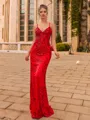 Elegant Sheath Lace V-Neck Sleeveless Floor-Length Prom Dress