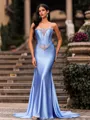 Form-Fitting Sheath Straight Rhinestone Chapel Train Corset Prom Dress
