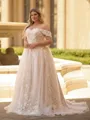 Striking A-line Off-the-Shoulder Appliques Lace Sweep Train Tulle Corset Plus Size Wedding Dress