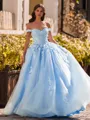 Show-stopping Ball-Gown Off-the-Shoulder Appliques Lace Sweep Train Tulle Corset Prom Dress