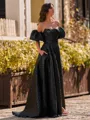 Mesmerizing A-Line Straight Short Sleeves Sweep Train Corset Prom Dress