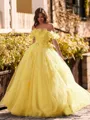 Striking Ball-Gown Off-the-Shoulder Flower Floor-Length Tulle Corset Prom Dress