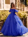 Striking Ball-Gown Off-the-Shoulder Flower Floor-Length Tulle Corset Prom Dress